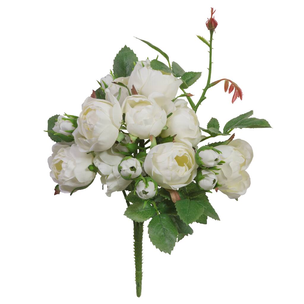 Shop For The White Garden Rose Bush By Ashland At Michaels Shop For The White Garden Rose Bush By Ashland At Michaels